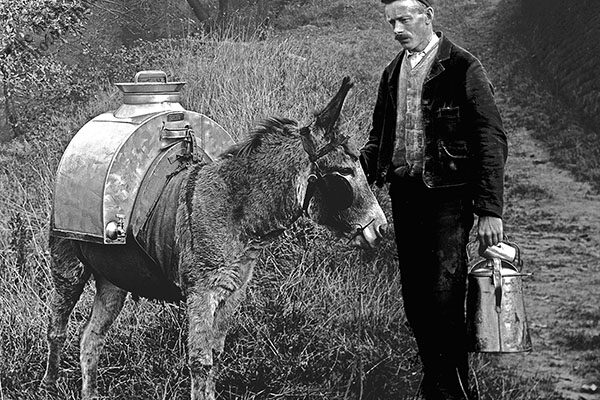 Milkman at Owlers Close - about 1900.